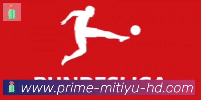 so米体育直播合作伙伴